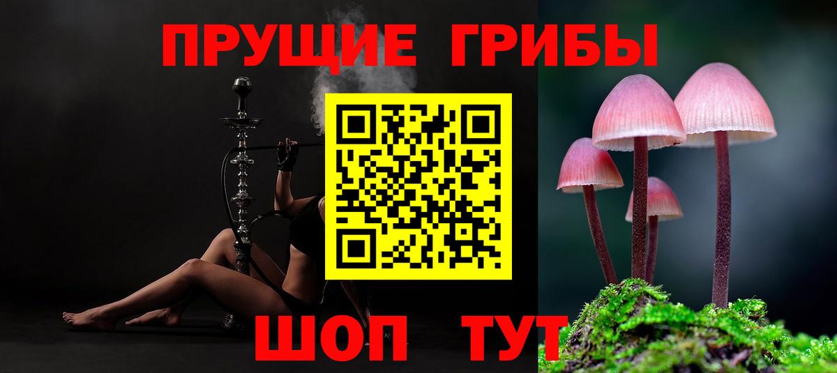 Галлюциногенные грибы Psilocybe  Вход с VPN  Псилоцибиновые грибы MAGIC MUSHROOMS  Королёв 